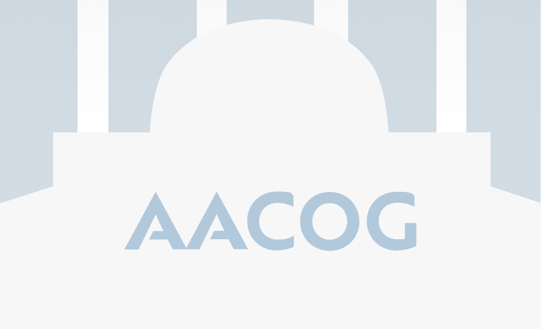 Bexar Area Plan FY 27-29 Public Comment Period